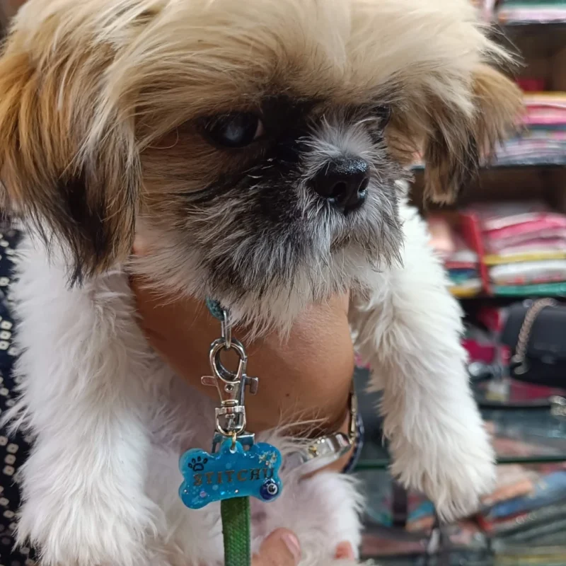 PEARL PET TAG - Image 2