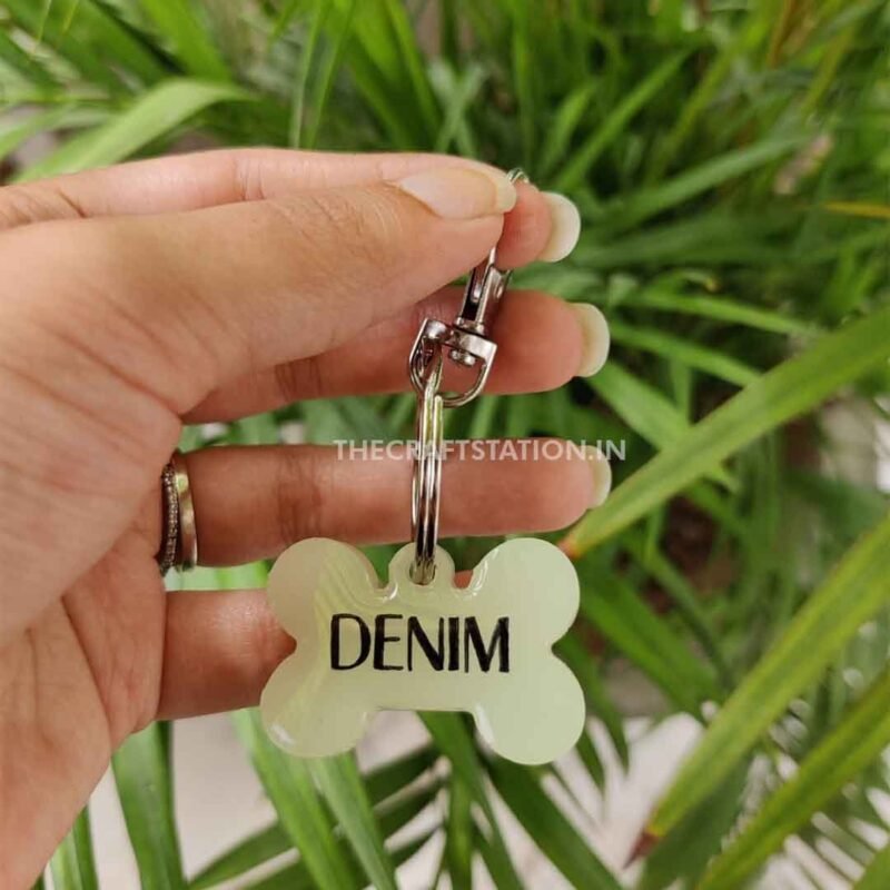 GLOW IN THE DARK PET TAG - Image 4