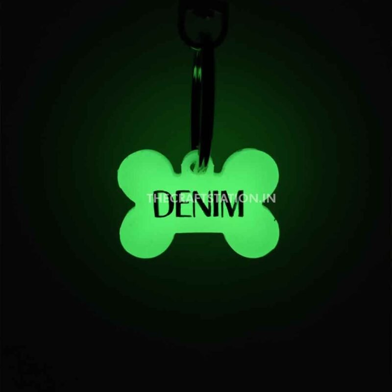 GLOW IN THE DARK PET TAG - Image 5