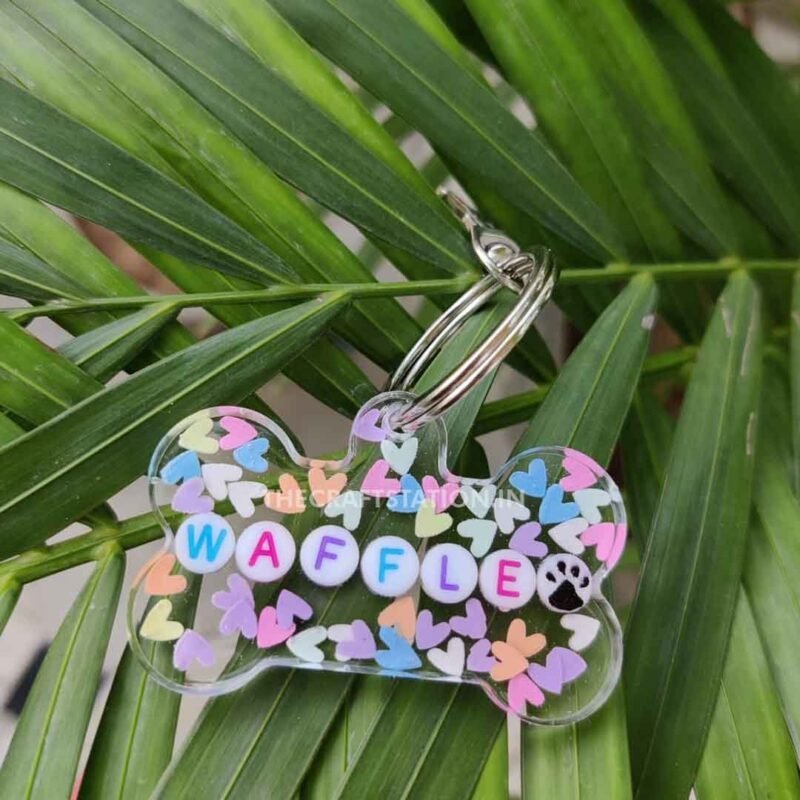 RAINBOW PET TAG
