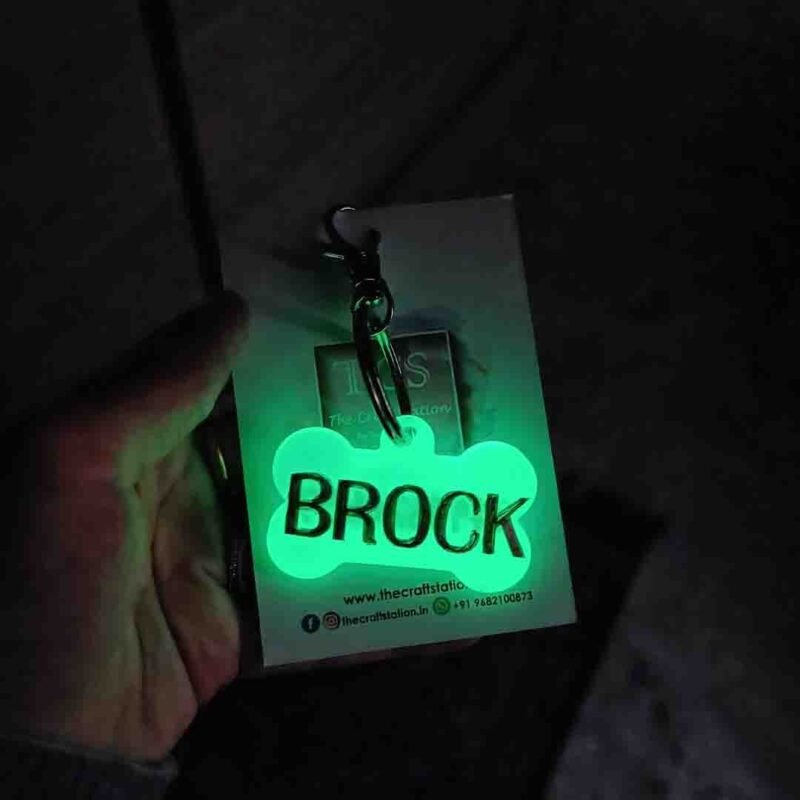 GLOW IN THE DARK PET TAG - Image 2